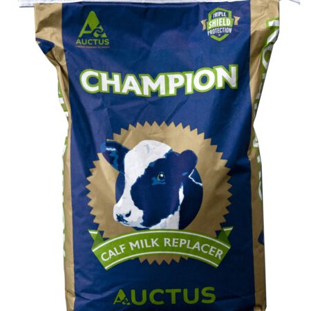 Calf Milk Replacer Champion
