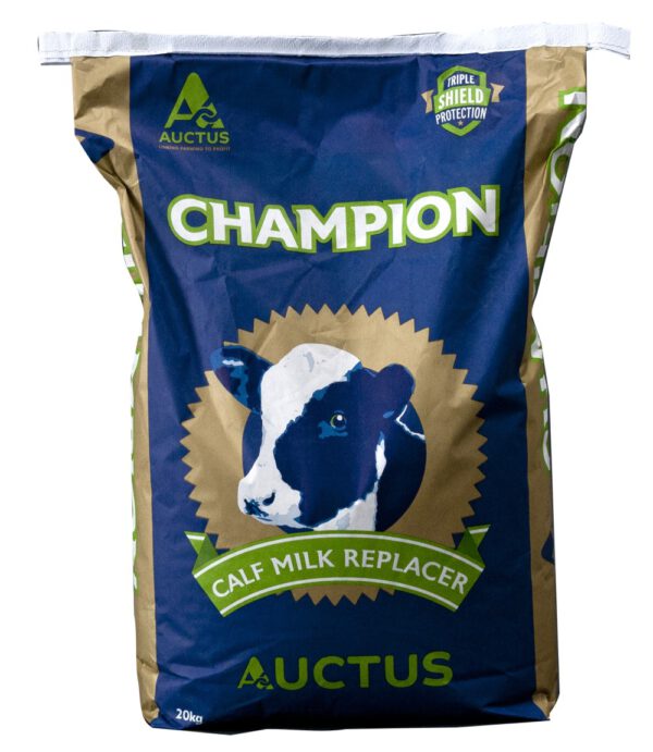 Calf Milk Replacer Champion