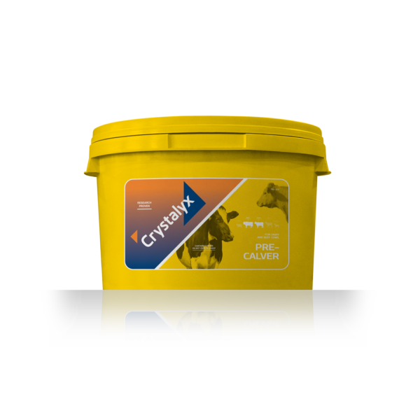 Dairy minerals buckets Crystalyx Pre-Calver